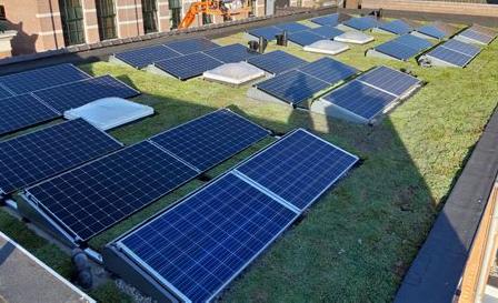 zonnepanelen op groen dak