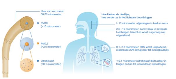 Schade door fijnstof Gezondheidsraad