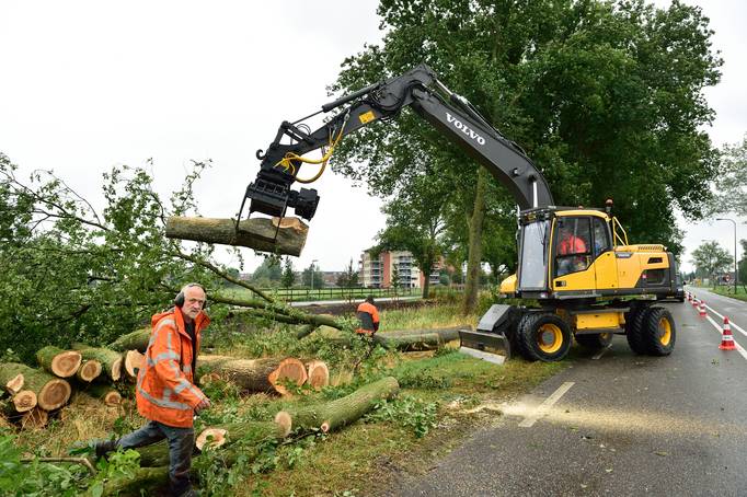 2019 09 06 bomenkap Waddinxveen