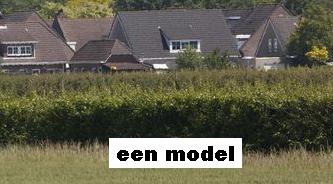 een model is een beperkte weergave van de werkelijkheid tekst